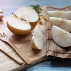 20th Century (Nijisseiki) Asian Pear -Nature Garden Store 20thCentury Pear 1 FGT