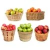 5-in-1 Apple Tree -Nature Garden Store 5 in 1 Apple 600x600 7aa95aa9 ebc1 4f49 a1e8 94e9b1d7155c