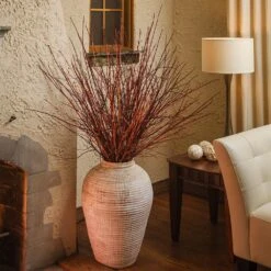 Arctic Fire® Red Twig Dogwood -Nature Garden Store Arctic Fire Twig Dogwood 6 FGT