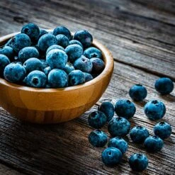 Aurora Blueberry Bush - USDA Organic -Nature Garden Store Aurora Blueberry 4 dc5a7e17 d7e4 4799 b1b9 177f422f6847