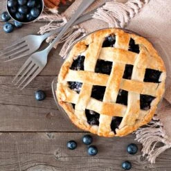 Aurora Blueberry Bush - USDA Organic -Nature Garden Store Aurora Blueberry 5 112457a4 3811 4866 87c8 269c657283bf