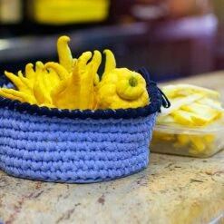 Buddha's Hand Citron 11 Buddha's Hand Citron -Nature Garden Store BUddhas Hand Citrus 6 FGT