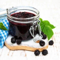 Big Daddy Blackberry Bush -Nature Garden Store Big Daddy Blackberry 3