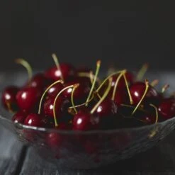 Black Tartarian Cherry Tree -Nature Garden Store Black Tartarian Cherry Tree 2 FGT