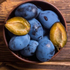 Brooks Plum Tree 11 Brooks Plum Tree -Nature Garden Store Brooks Plum 2