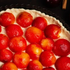 Bubblegum 'Toka' Plum Tree -Nature Garden Store Bubblegum Toka Plum 3