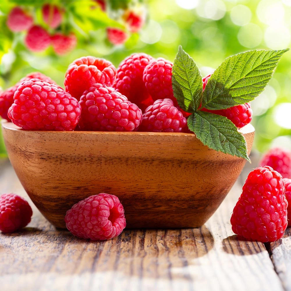 Caroline Raspberry - USDA Organic 5 Caroline Raspberry - USDA Organic - Image 3