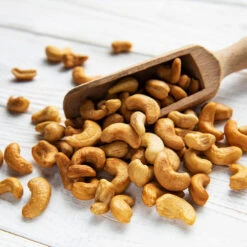 Cashew Tree -Nature Garden Store Cashew Nut Tree 5