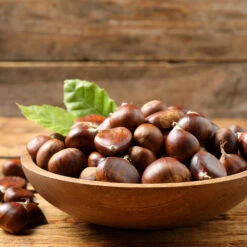 Chinese Chestnut Tree -Nature Garden Store Chinese Chestnut 3 FGT