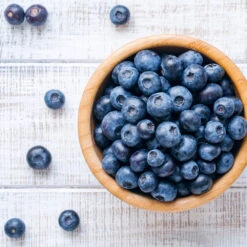 Climax Blueberry -Nature Garden Store Climax Blueberry 4