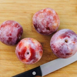 Dapple Dandy Pluot Tree -Nature Garden Store Dapple Dandy 2