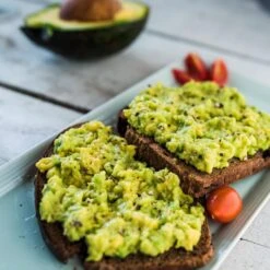 Condo™ Avocado Tree -Nature Garden Store Day Condo Avocado 2