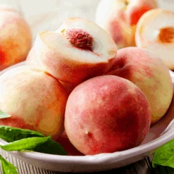 Early White Giant Peach Tree 7 Early White Giant Peach Tree -Nature Garden Store Early White Giant Peach Tree 450 D1