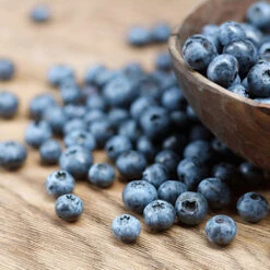 Emerald Blueberry Bush 7 Emerald Blueberry Bush -Nature Garden Store Emerald Blueberries 1