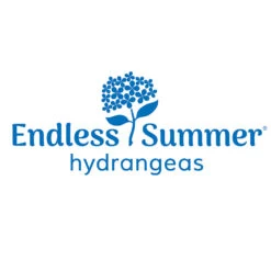 Endless Summer® Summer Crush® Hydrangea -Nature Garden Store Endless Summer Hydrangeas 1000x1000 347a4889 45a5 42f4 94f1 e0220955e380