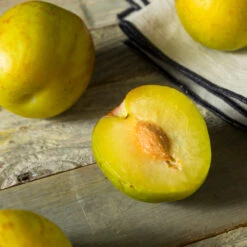 Flavor Queen Pluot® 9 Flavor Queen Pluot® -Nature Garden Store Flavor Queen Pluot 2