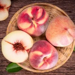 Indian Free White Peach Tree 9 Indian Free White Peach Tree -Nature Garden Store Indian Free Peach 3 FGT
