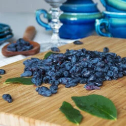 Indigo Treat Haskap (Honeyberry) -Nature Garden Store Indigo Treat Hascap 2 BB