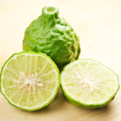 Kaffer 'Kieffer' Lime Tree 10 Kaffer 'Kieffer' Lime Tree -Nature Garden Store Kaffir Lime 7 FGT