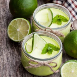 Key Lime Tree - USDA Organic 12 Key Lime Tree - USDA Organic -Nature Garden Store Key Lime Tree 4 FGT 8c9c096a 80b3 4ead b08e 43cfbd23c3a2