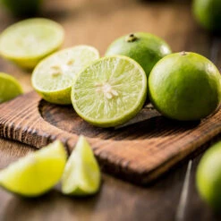 Key Lime Tree 13 Key Lime Tree -Nature Garden Store Key Lime Tree 5 FGT