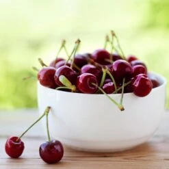 Lapins Cherry Tree 8 Lapins Cherry Tree -Nature Garden Store Lapins Cherry Tree 2 FGT 325a18e6 7143 4729 a41b b0d9614909b8