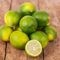 Limequat Citrus Tree 9 Limequat Citrus Tree -Nature Garden Store Limequat 4 FGT