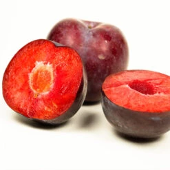 Methley Plum Tree -Nature Garden Store Methley Plum 3 6230ed7a 5c4e 4b03 88d0 ad8f75f62363