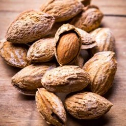 Nonpareil Almond Tree -Nature Garden Store Nonpareil Almonds 3