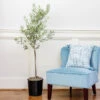 Oliana Olive Tree 2 Oliana Olive Tree -Nature Garden Store Oliana Olive 600x600 6f3a3c9f e168 44ff aa92 eb7e474a89dc
