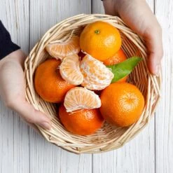 Page Mandarin Tree -Nature Garden Store Page Mandarin Tree 2 FGT