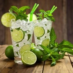 Persian 'Bearss' Lime Tree - USDA Organic 12 Persian 'Bearss' Lime Tree - USDA Organic -Nature Garden Store Persian Lime Tree 4 FGT 3e2376b1 dd45 4777 a1e5 8c0e252ea773