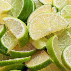 Persian 'Bearss' Lime Bush -Nature Garden Store Pursian Lime Bush 1 FGT 8e948345 4f0b 4e96 a96f a17b7b31b7ab