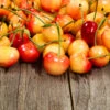 Rainier Cherry Tree -Nature Garden Store Rainier Cherry Tree FGT 600x600 1094475e 5dab 4191 8167 5c5a6519bb91