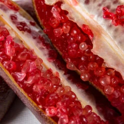 Red Finger Lime Tree 11 Red Finger Lime Tree -Nature Garden Store Red FInger Lime 1 1453b836 c1a1 4844 92f1 11e49d09cc4d