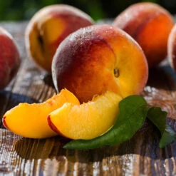 Red Baron Peach Tree 11 Red Baron Peach Tree -Nature Garden Store Red Baron Peach 4