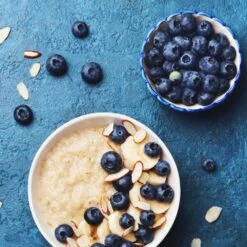 Reveille Blueberry Bush -Nature Garden Store Reville Blueberry 2