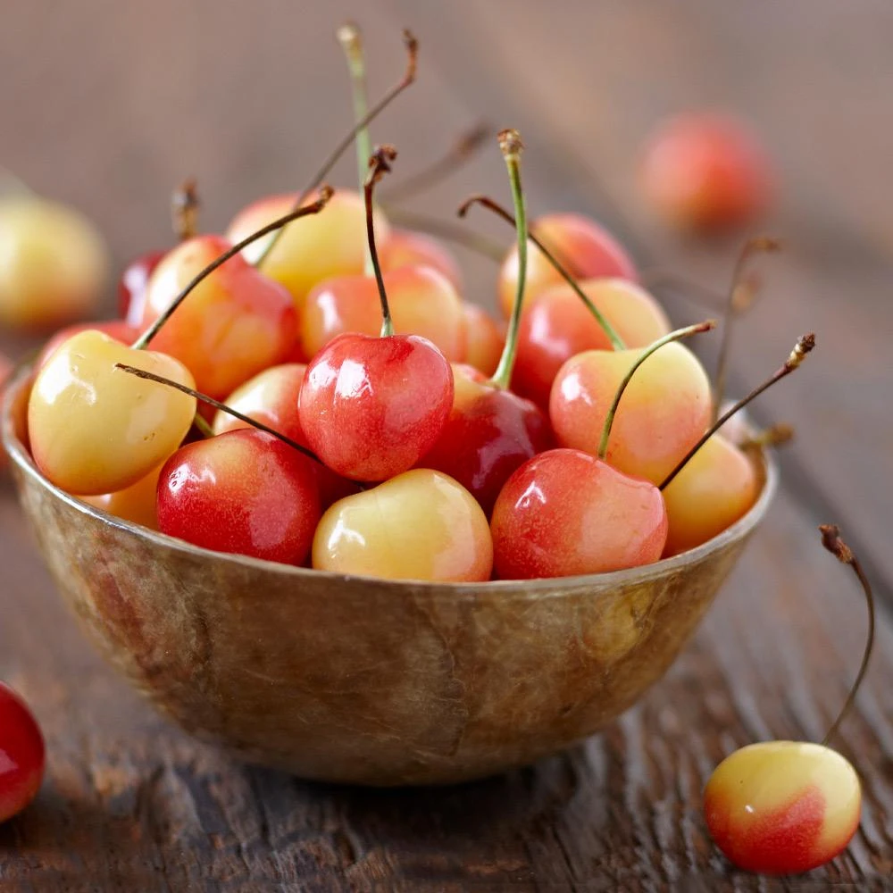 Royal Ann Cherry Tree 5 Royal Ann Cherry Tree - Image 3