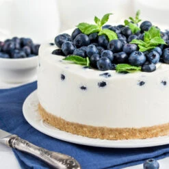 Sunshine Blue Blueberry Bush 9 Sunshine Blue Blueberry Bush -Nature Garden Store SUnshine BLue Blueberry 4