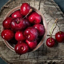 Santina™ Cherry Tree -Nature Garden Store Santina Cherry 1