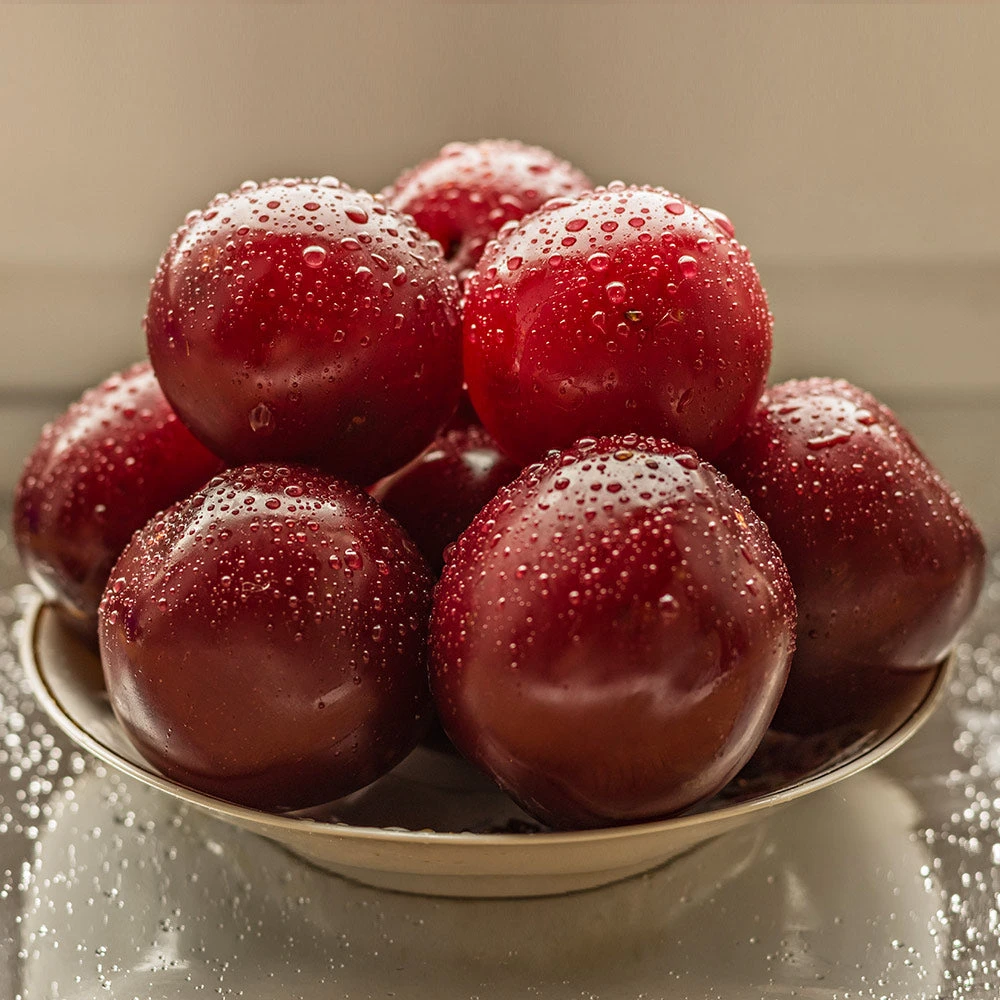 Satsuma Plum Tree 5 Satsuma Plum Tree - Image 4