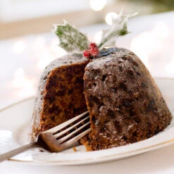 Satsuma Plum Tree 12 Satsuma Plum Tree -Nature Garden Store Satsuma Plum 4