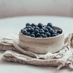 Sharpblue Blueberry Bush 7 Sharpblue Blueberry Bush -Nature Garden Store Sharpblue Blueberry 1