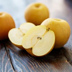 Shinseiki Asian Pear Tree -Nature Garden Store Shinseiki Asian Pear 5 FGT 5a5b3a9a ba1b 4c34 ab3a 649876b9efb2