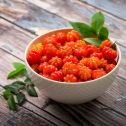 Star Cherry Tree (Pitanga) -Nature Garden Store Star Cherry 3 FGT