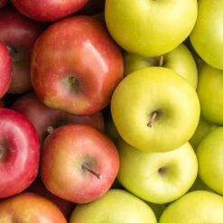 5-in-1 Apple Surprise Tree -Nature Garden Store Surprise Apple 1