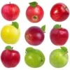 4-in-1 Apple Surprise Tree -Nature Garden Store Surprise Apple 600x600 4bdad622 6811 402f 8fd2 6261c6bd6550