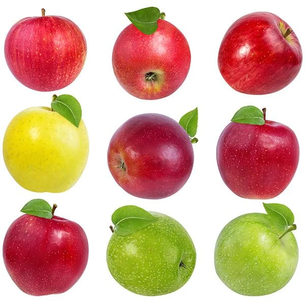 2-in-1 Apple Surprise Tree 3 2-in-1 Apple Surprise Tree