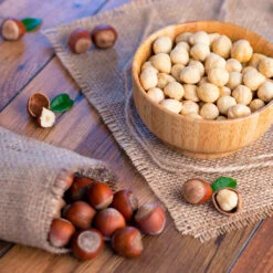 Theta Filbert Hazelnut -Nature Garden Store THeta FIlbert Hazelnut 4