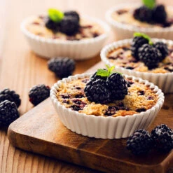 Thornless Blackberry -Nature Garden Store Thornless Blackberry 2